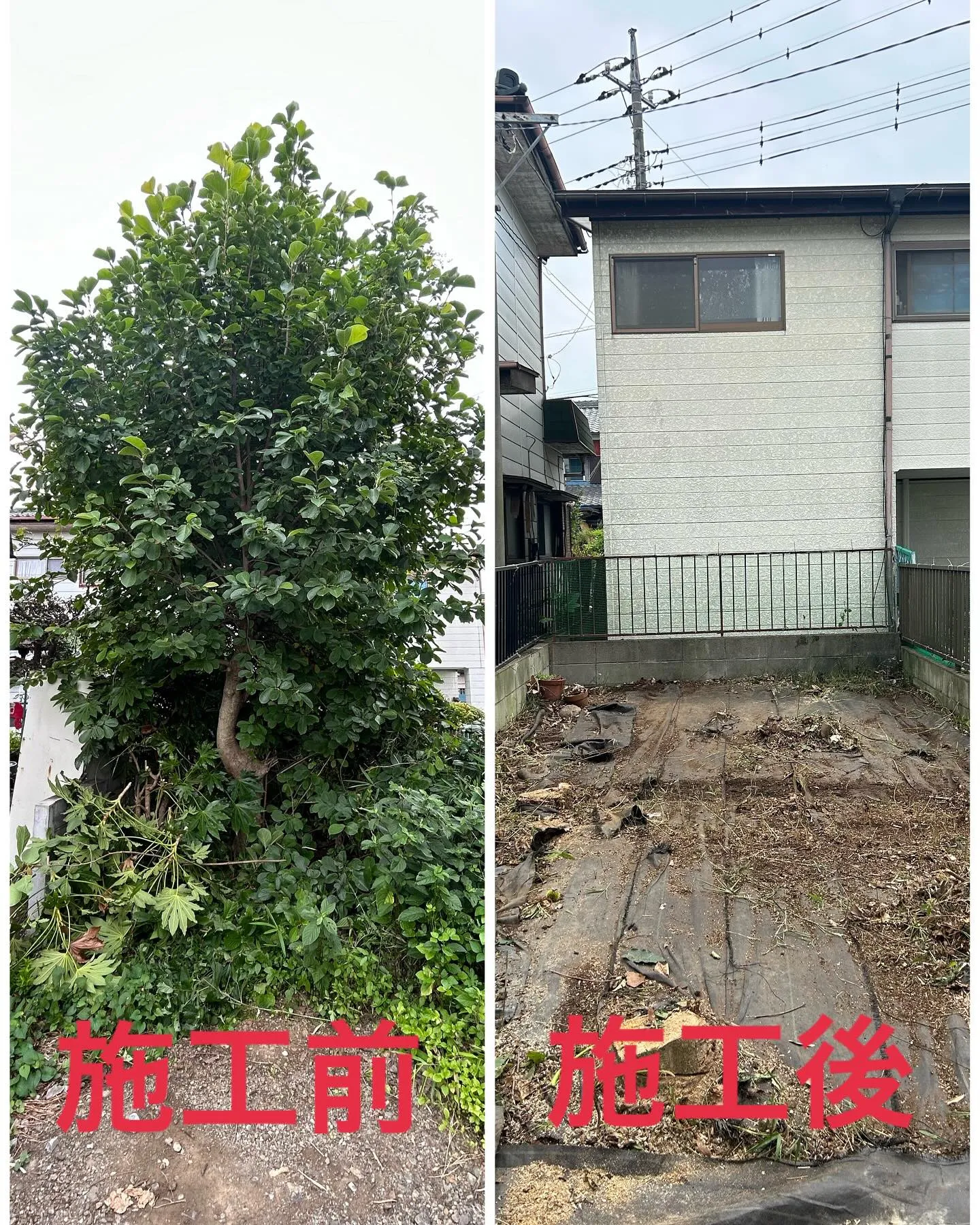 今日は熊谷市の妻沼地区で戸建住宅のお客様のお宅にお邪魔しまし...